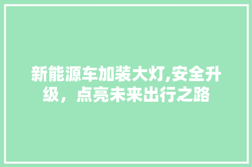 新能源车加装大灯,安全升级，点亮未来出行之路