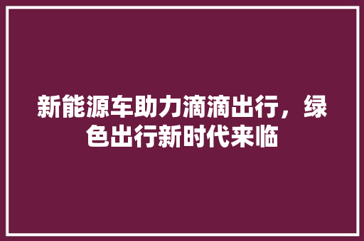 新能源车助力滴滴出行，绿色出行新时代来临  第1张