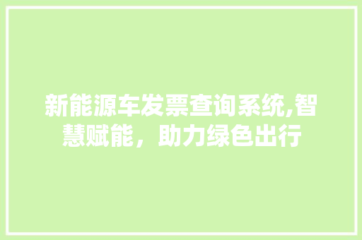 新能源车发票查询系统,智慧赋能，助力绿色出行