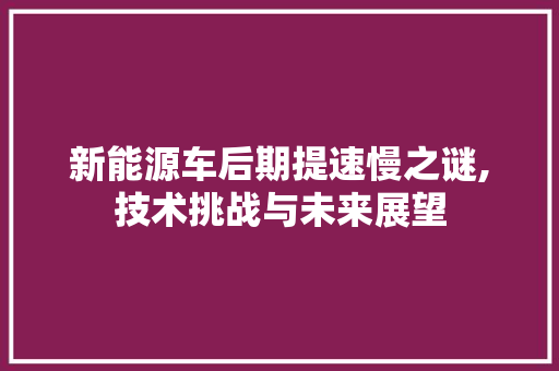 新能源车后期提速慢之谜,技术挑战与未来展望  第1张