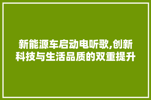 新能源车启动电听歌,创新科技与生活品质的双重提升  第1张