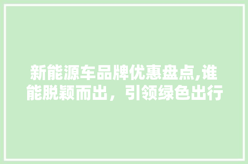 新能源车品牌优惠盘点,谁能脱颖而出，引领绿色出行潮流  第1张