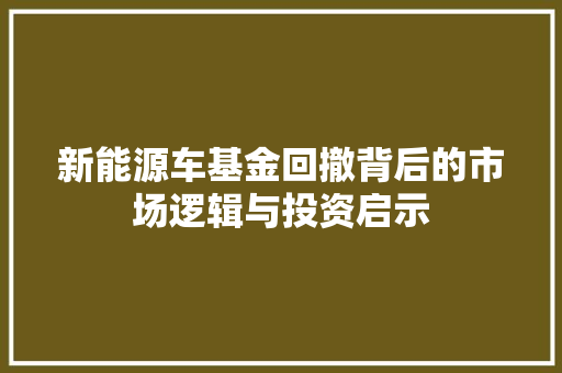 新能源车基金回撤背后的市场逻辑与投资启示  第1张