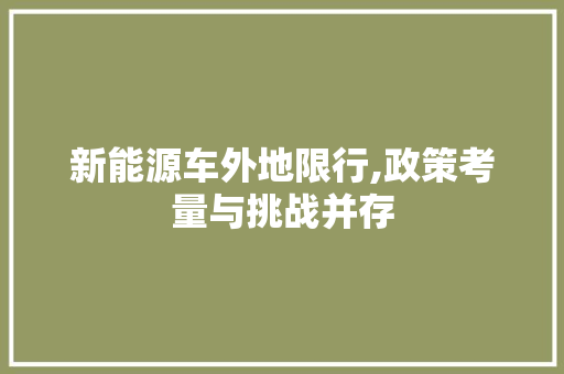 新能源车外地限行,政策考量与挑战并存  第1张