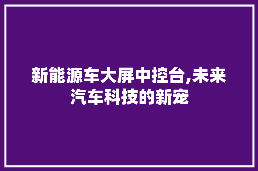 新能源车大屏中控台,未来汽车科技的新宠