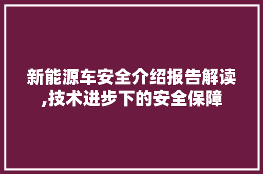 新能源车安全介绍报告解读,技术进步下的安全保障  第1张