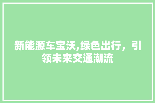 新能源车宝沃,绿色出行，引领未来交通潮流  第1张