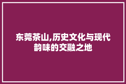 东莞茶山,历史文化与现代韵味的交融之地