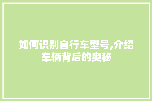 如何识别自行车型号,介绍车辆背后的奥秘