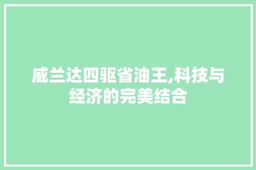 威兰达四驱省油王,科技与经济的完美结合