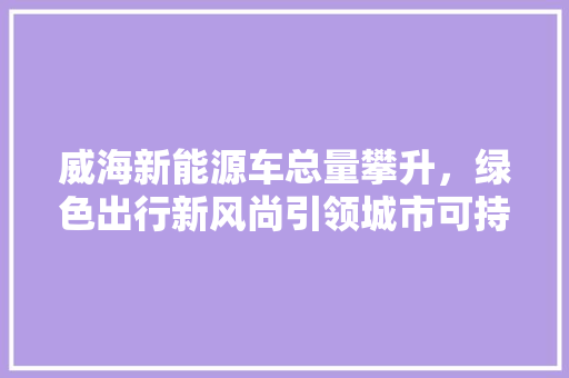 威海新能源车总量攀升，绿色出行新风尚引领城市可持续发展  第1张