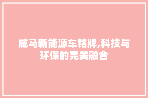 威马新能源车铭牌,科技与环保的完美融合