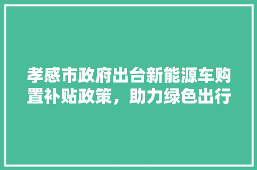 孝感市政府出台新能源车购置补贴政策，助力绿色出行新风尚  第1张