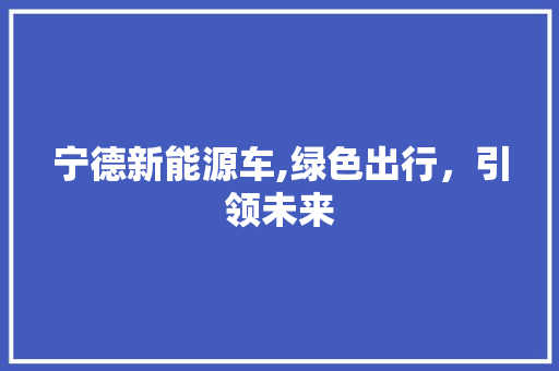 宁德新能源车,绿色出行，引领未来  第1张