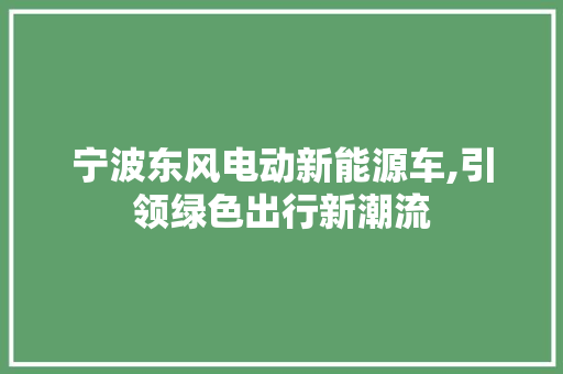 宁波东风电动新能源车,引领绿色出行新潮流  第1张