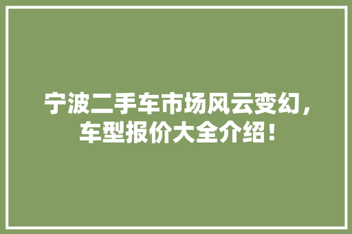 宁波二手车市场风云变幻，车型报价大全介绍！  第1张