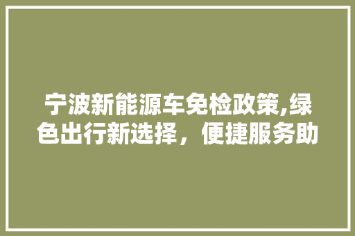 宁波新能源车免检政策,绿色出行新选择，便捷服务助力环保未来  第1张