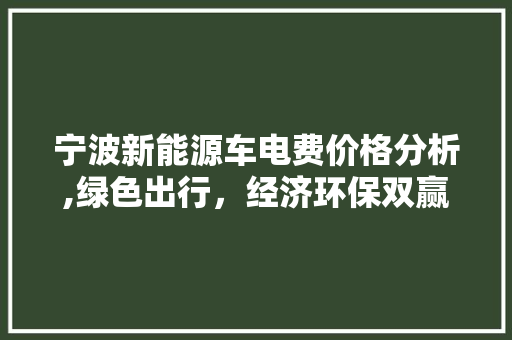 宁波新能源车电费价格分析,绿色出行，经济环保双赢之路  第1张