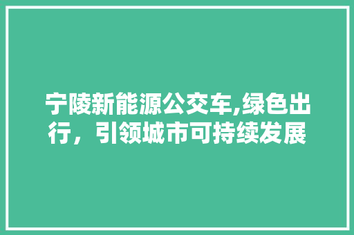 宁陵新能源公交车,绿色出行，引领城市可持续发展