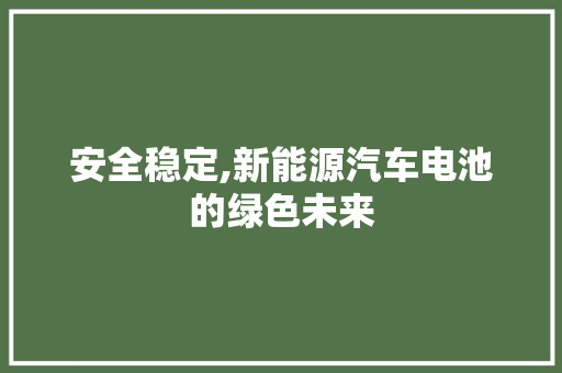 安全稳定,新能源汽车电池的绿色未来  第1张