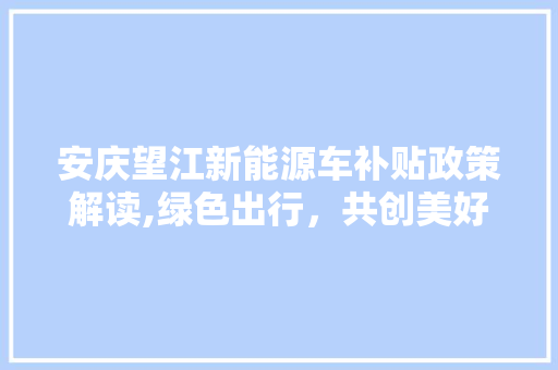 安庆望江新能源车补贴政策解读,绿色出行，共创美好未来  第1张