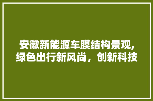 安徽新能源车膜结构景观,绿色出行新风尚，创新科技引领未来