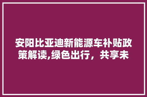 安阳比亚迪新能源车补贴政策解读,绿色出行，共享未来  第1张