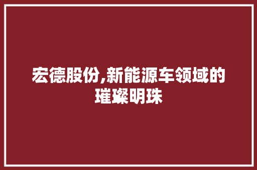 宏德股份,新能源车领域的璀璨明珠