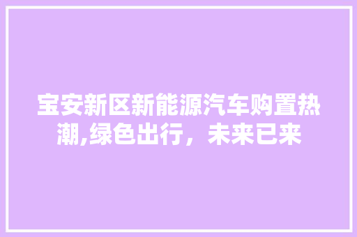 宝安新区新能源汽车购置热潮,绿色出行，未来已来  第1张