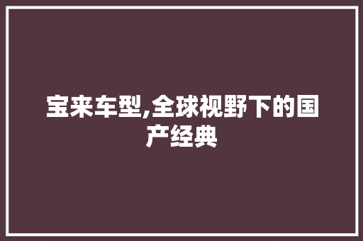 宝来车型,全球视野下的国产经典  第1张