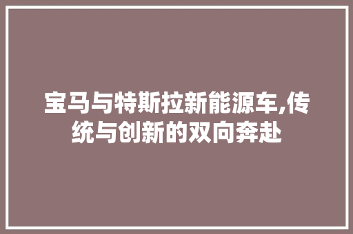 宝马与特斯拉新能源车,传统与创新的双向奔赴  第1张