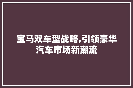 宝马双车型战略,引领豪华汽车市场新潮流  第1张