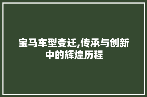 宝马车型变迁,传承与创新中的辉煌历程  第1张