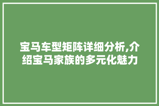 宝马车型矩阵详细分析,介绍宝马家族的多元化魅力  第1张