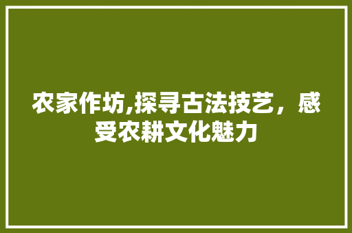 农家作坊,探寻古法技艺，感受农耕文化魅力