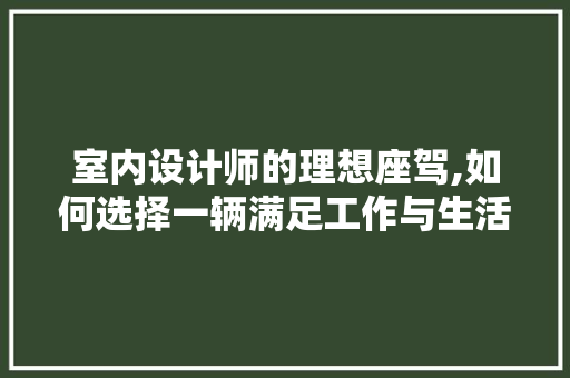 室内设计师的理想座驾,如何选择一辆满足工作与生活需求的车型