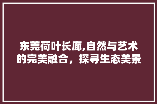 东莞荷叶长廊,自然与艺术的完美融合，探寻生态美景的秘境