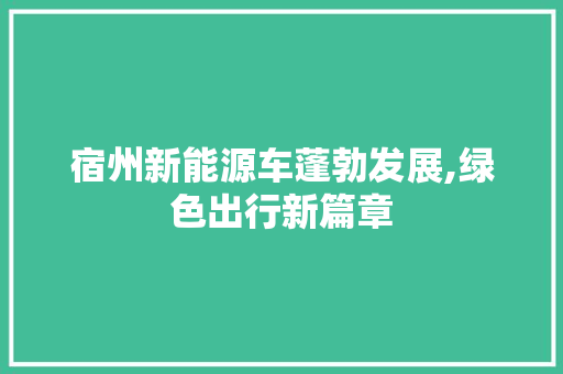 宿州新能源车蓬勃发展,绿色出行新篇章