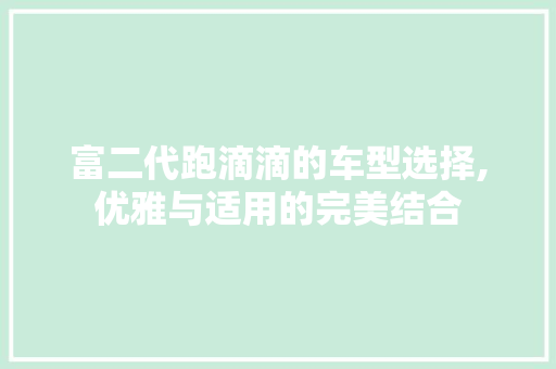 富二代跑滴滴的车型选择,优雅与适用的完美结合  第1张