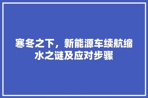 寒冬之下，新能源车续航缩水之谜及应对步骤  第1张