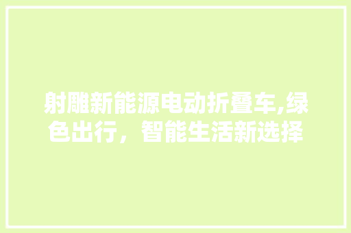 射雕新能源电动折叠车,绿色出行，智能生活新选择