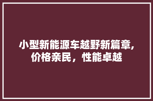 小型新能源车越野新篇章,价格亲民，性能卓越  第1张