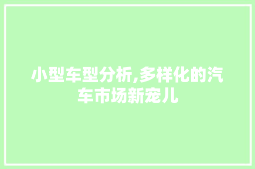 小型车型分析,多样化的汽车市场新宠儿  第1张