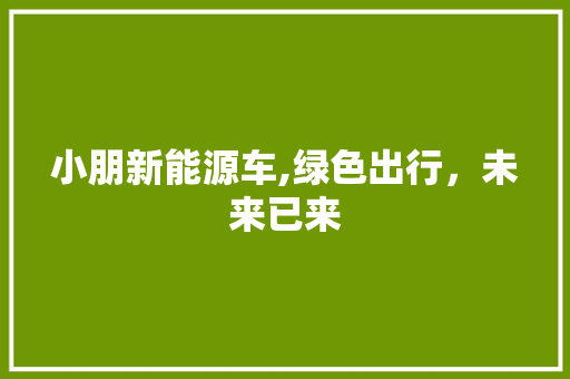 小朋新能源车,绿色出行，未来已来  第1张