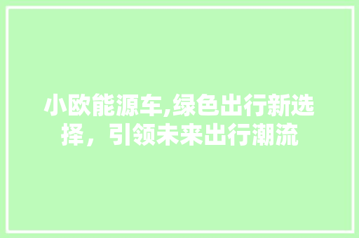 小欧能源车,绿色出行新选择，引领未来出行潮流  第1张