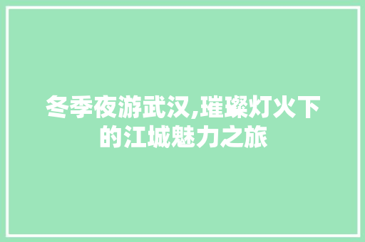 冬季夜游武汉,璀璨灯火下的江城魅力之旅