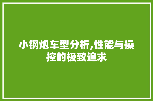 小钢炮车型分析,性能与操控的极致追求  第1张