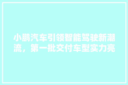 小鹏汽车引领智能驾驶新潮流，第一批交付车型实力亮相  第1张