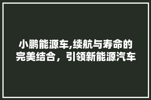 小鹏能源车,续航与寿命的完美结合，引领新能源汽车新时代  第1张