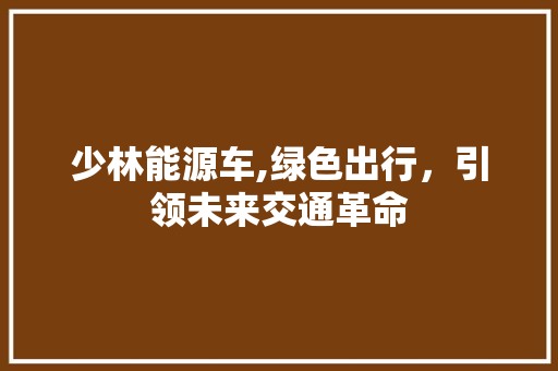 少林能源车,绿色出行，引领未来交通革命